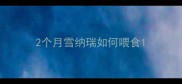 2个月雪纳瑞如何喂食