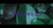 小狗不起来怎么办