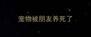 宠物被朋友养死了