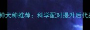 哈士奇最佳配种犬种推荐科学配对提升后代品质的6大关键