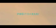 萨摩耶2个月大有多高