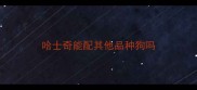 哈士奇能配其他品种狗吗