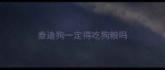 泰迪狗一定得吃狗粮吗
