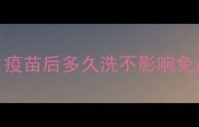 猫打疫苗后洗澡有讲究疫苗后多久洗不影响免疫附正确洗澡流程和禁忌