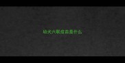 幼犬六联疫苗是什么