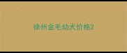 徐州金毛幼犬价格