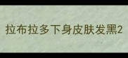 拉布拉多下身皮肤发黑