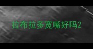 拉布拉多宽嘴好吗