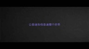 公泰迪和母泰迪哪个好养