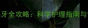 吉娃娃换牙全攻略科学护理指南与常见误区