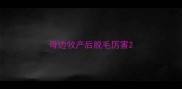 母边牧产后脱毛厉害
