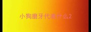 小狗磨牙代表什么