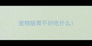 宠物肠胃不好吃什么