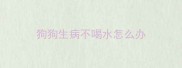 狗狗生病不喝水怎么办