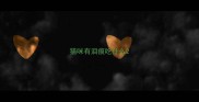 猫咪有泪痕吃什么