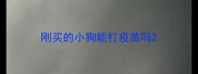 刚买的小狗能打疫苗吗