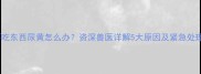 狗狗不吃东西尿黄怎么办资深兽医详解5大原因及紧急处理指南