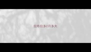 拉布拉多2月多大