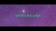 边牧的头是怎么样的