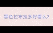 黑色拉布拉多好看么