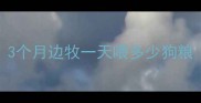 3个月边牧一天喂多少狗粮