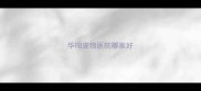 华阳宠物医院哪家好