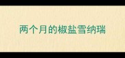 两个月的椒盐雪纳瑞