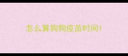 怎么算狗狗疫苗时间