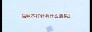 猫咪不打针有什么后果