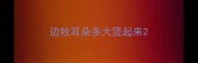 边牧耳朵多大竖起来