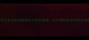拉布拉多犬的品种特征与养护指南从外观到科学饲养全攻略