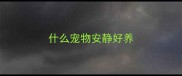 什么宠物安静好养