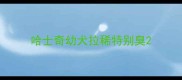 哈士奇幼犬拉稀特别臭