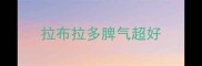 拉布拉多脾气超好