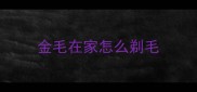 金毛在家怎么剃毛