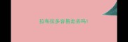 拉布拉多容易走丢吗