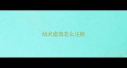 幼犬疫苗怎么注射
