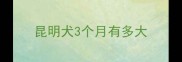 昆明犬3个月有多大