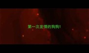 第一次发情的狗狗
