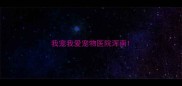 我宠我爱宠物医院浑南