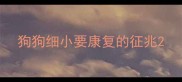 狗狗细小要康复的征兆