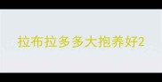 拉布拉多多大抱养好