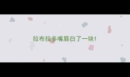拉布拉多嘴唇白了一块