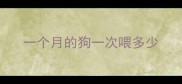 一个月的狗一次喂多少