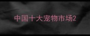 中国十大宠物市场