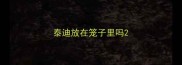 泰迪放在笼子里吗