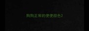 狗狗正常的便便颜色