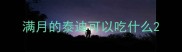 满月的泰迪可以吃什么