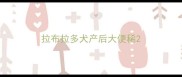 拉布拉多犬产后大便稀