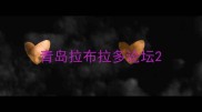 青岛拉布拉多论坛